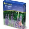 Düngelupinen (1 Kg) | Gründünger Von Kiepenkerl -Compo Verkäufe 3599 Duengelupinen 1 kg 615007 0
