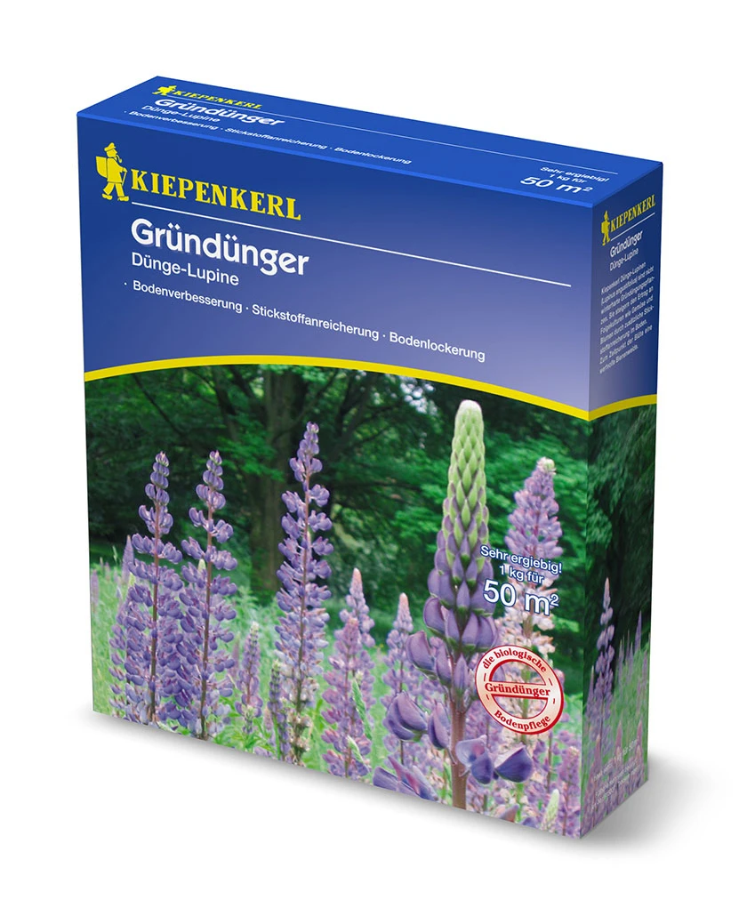 Düngelupinen (1 Kg) | Gründünger Von Kiepenkerl 3 Düngelupinen (1 Kg) | Gründünger Von Kiepenkerl