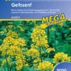 Gelbsenf (2 Kg) | Gründünger Von Kiepenkerl -Compo Verkäufe 3616 Gelbsenf 2 kg 615571 0