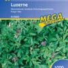 Luzerne (1 Kg) | Gründünger Von Kiepenkerl 2 Luzerne (1 Kg) | Gründünger Von Kiepenkerl -Compo Verkäufe 3621 Luzerne 1 kg 615663 0
