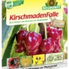 KirschmadenFalle (7 Stück) | Fallen Und Fernhaltemittel Von Neudorff 2 KirschmadenFalle (7 Stück) | Fallen Und Fernhaltemittel Von Neudorff -Compo Verkäufe 4044 KirschmadenFalle 7 Stueck 00324 0