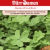 Gründünger Alexandrinerklee 500 G | Gründünger Von Dürr Samen -Compo Verkäufe 523247 Gruenduenger Alexandrinerklee 500 g fuer 100m