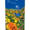 Blütenteppich (40 G) | Blumensamenmischung Von Kiepenkerl [MHD 12/2023] -Compo Verkäufe 528696 Bluetenteppich 40 g 4935 0