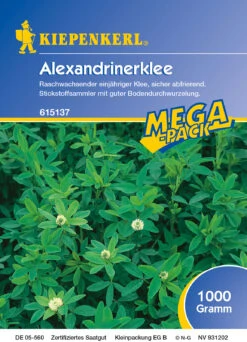 Alexandrinerklee (1 Kg) | Gründünger Von Kiepenkerl