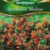 Aprikosen Melisse | Melissensamen  Von Quedlinburger -Compo Verkäufe 532146 Aprikosen Melisse von Quedlinburger Saatgut
