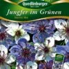 Jungfer Im Grünen Marine Mischung | Jungfer Im Grünen Samen Von Quedlinburger 1 Jungfer Im Grünen Marine Mischung | Jungfer Im Grünen Samen Von Quedlinburger -Compo Verkäufe 532154 Jungfer im Gruenen Marine Mischung von Qued