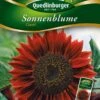 Sonnenblumen Claret | Sonnenblumensamen Von Quedlinburger -Compo Verkäufe 532177 Sonnenblumen Claret von Quedlinburger Saatg