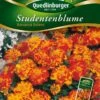 Studentenblumen Bonanza Bolero | Studentenblumensamen Von Quedlinburger -Compo Verkäufe 532193 Studentenblumen Bonanza Bolero von Quedlinb