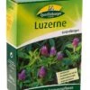 Luzerne 500 G | Gründünger Von Quedlinburger -Compo Verkäufe 532620 Luzerne 500 g