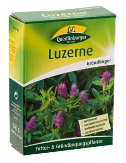 Luzerne 500 G | Gründünger Von Quedlinburger