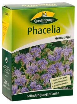 Phacelia 300 G | Phaceliasamen Von Quedlinburger
