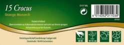 Krokus Orange Monarch (15 Stück) | Krokuszwiebeln Von Quedlinburger