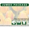 Tulpe Orange (50 Stück) | Tulpenzwiebeln Von Quedlinburger -Compo Verkäufe 533132 Tulpe orange 50 Stueck 308452 qb 1
