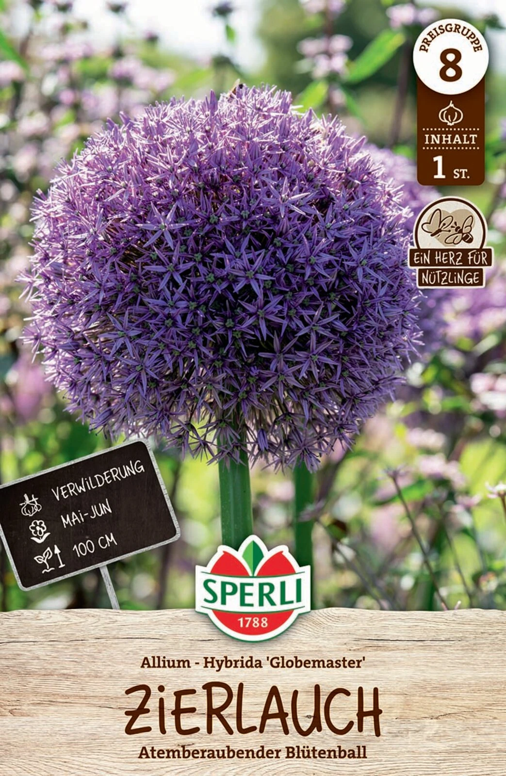 Zierlauch Globemaster (1 Stück) | Zierlauchzwiebeln Von Sperli 3 Zierlauch Globemaster (1 Stück) | Zierlauchzwiebeln Von Sperli