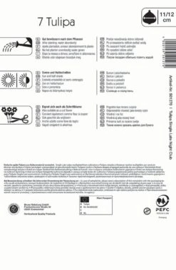 Mehrblütige Tulpe Night Club (7 Stück) | Tulpenzwiebeln Von Kiepenkerl -Compo Verkäufe 533519 Mehrbluetige Tulpe Night Club 7 Stueck 501270 1