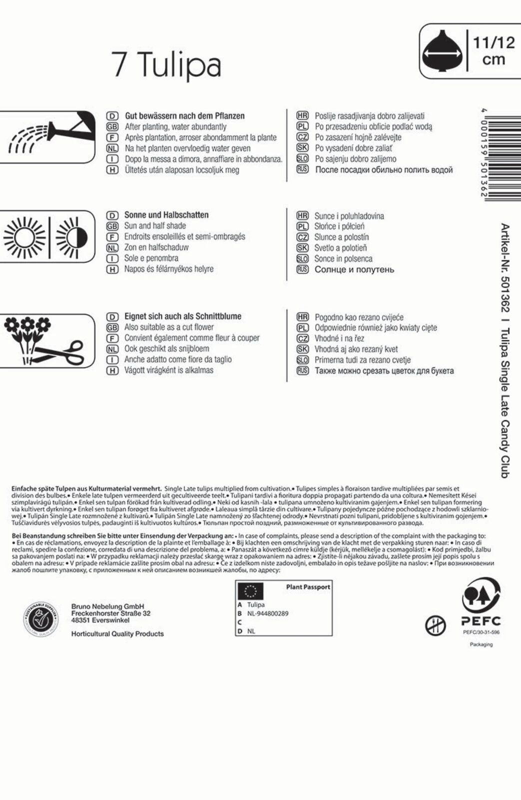 Mehrblütige Tulpe Candy Club (7 Stück) | Tulpenzwiebeln Von Kiepenkerl 4 Mehrblütige Tulpe Candy Club (7 Stück) | Tulpenzwiebeln Von Kiepenkerl – Bild 2