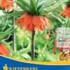 Kaiserkrone Rubra (1 Stück) | Kaiserkronenzwiebeln Von Kiepenkerl 2 Kaiserkrone Rubra (1 Stück) | Kaiserkronenzwiebeln Von Kiepenkerl -Compo Verkäufe 533536 Kaiserkrone Rubra 1 Stueck 507593 0