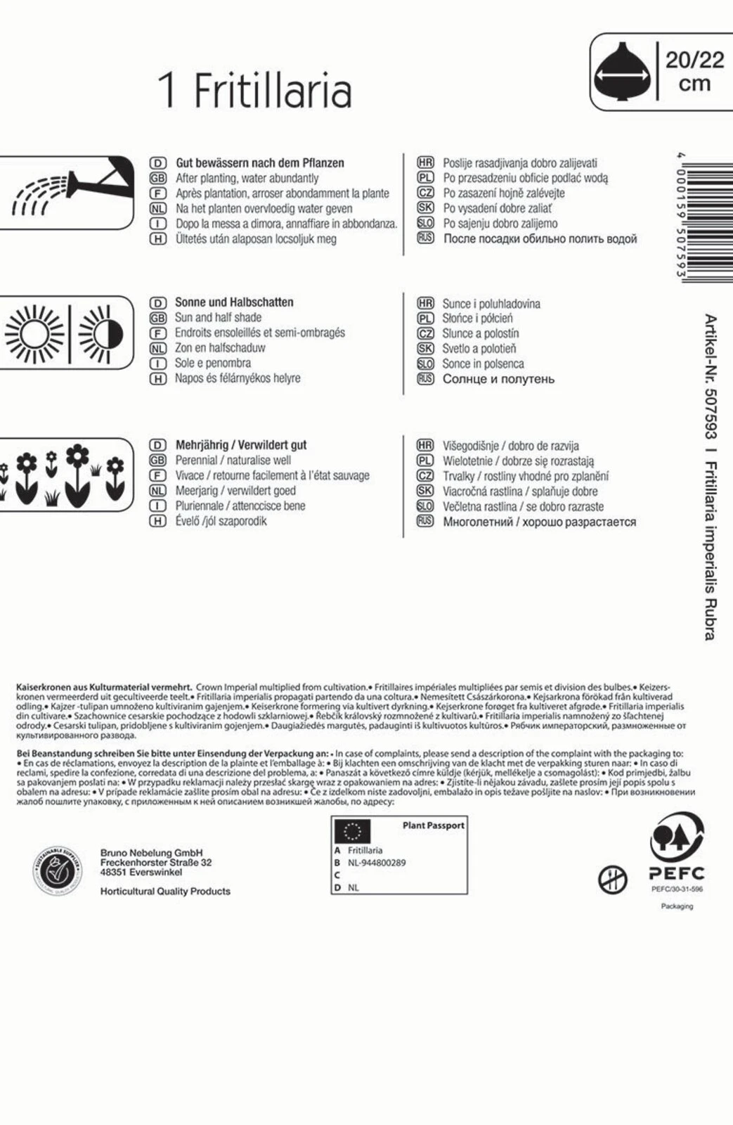 Kaiserkrone Rubra (1 Stück) | Kaiserkronenzwiebeln Von Kiepenkerl 4 Kaiserkrone Rubra (1 Stück) | Kaiserkronenzwiebeln Von Kiepenkerl – Bild 2