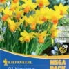 Mega-Pack Narzisse Jetfire (21 Stück) | Narzissenzwiebeln Von Kiepenkerl -Compo Verkäufe 533576 Mega Pack Narzisse Jetfire 21 Stueck 505872 0