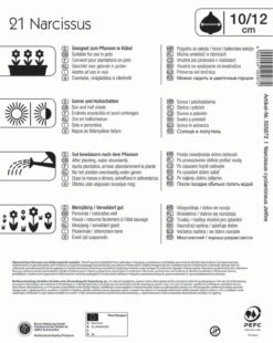 Mega-Pack Narzisse Jetfire (21 Stück) | Narzissenzwiebeln Von Kiepenkerl -Compo Verkäufe 533576 Mega Pack Narzisse Jetfire 21 Stueck 505872 1