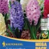 Mega-Pack Hyazinthe Mischung (9 Stück) | Hyazinthenzwiebeln Von Kiepenkerl 2 Mega-Pack Hyazinthe Mischung (9 Stück) | Hyazinthenzwiebeln Von Kiepenkerl -Compo Verkäufe 533578 Mega Pack Hyazinthe Mischung 9 Stueck 508798 0