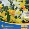 Mega-Pack Steingarten Narzissen Mischung (20 Stück) | Narzissenzwiebeln Von Kiepenkerl 2 Mega-Pack Steingarten Narzissen Mischung (20 Stück) | Narzissenzwiebeln Von Kiepenkerl -Compo Verkäufe 533583 Mega Pack Steingarten Narzissen Mischung 20 Stueck 507036 0