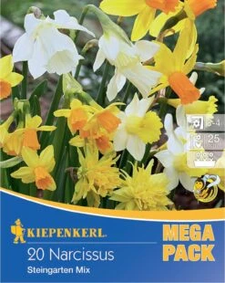 Mega-Pack Steingarten Narzissen Mischung (20 Stück) | Narzissenzwiebeln Von Kiepenkerl