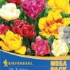 Mega-Pack Gefüllte Tulpen Mischung (15 Stück) | Tulpenzwiebeln Von Kiepenkerl