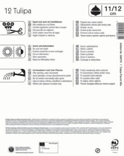 Mega-Pack Papagei Tulpe Papageien Mischung (12 Stück) | Tulpenzwiebeln Von Kiepenkerl -Compo Verkäufe 533587 Mega Pack Papagei Tulpe Papageien Mischung 12 Stueck 598751 1