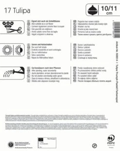 Mega-Pack Triumph-Tulpe Pastell Farbenspiel (17 Stück) | Tulpenzwiebeln Von Kiepenkerl -Compo Verkäufe 533595 Mega Pack Triumph Tulpe Pastell Farbenspiel 17 Stueck 508514 1