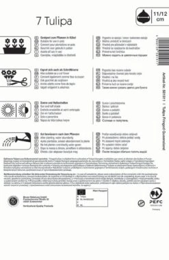 Gefranste Tulpe Queensland (7 Stück) | Tulpenzwiebeln Von Kiepenkerl