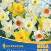 Mega-Pack Narzissen Mischung (17 Stück) | Narzissenzwiebeln Von Kiepenkerl -Compo Verkäufe 533620 Mega Pack Narzissen Mischung 17 Stueck 507012 0