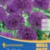 Mega-Pack Zierlauch Purple Sensation (15 Stück) | Alliumzwiebeln Von Kiepenkerl -Compo Verkäufe 533621 Mega Pack Zierlauch Purple Sensation 15 Stueck 509207 0