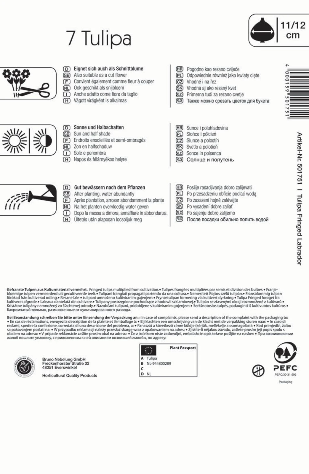 Gefranste Tulpe Labrador (7 Stück) | Tulpenzwiebeln Von Kiepenkerl 4 Gefranste Tulpe Labrador (7 Stück) | Tulpenzwiebeln Von Kiepenkerl – Bild 2