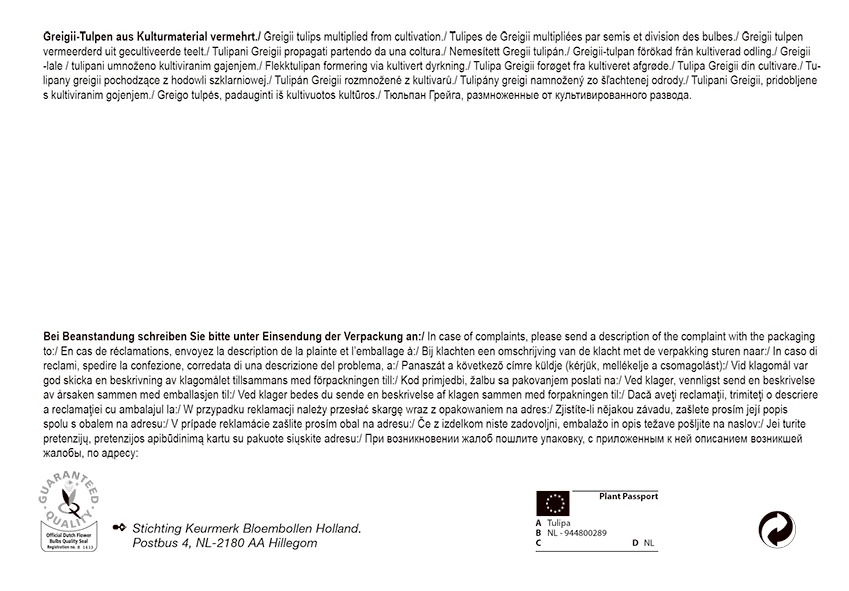 Tulpe Rotkäppchen Big Bag (35 Stück) | Tulpenzwiebeln Von Pegasus 3 Tulpe Rotkäppchen Big Bag (35 Stück) | Tulpenzwiebeln Von Pegasus