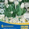Colour Symphony White Harmony (26 Stück) | Blumenzwiebelmischungen Von Kiepenkerl -Compo Verkäufe 533673 Colour Symphony White Harmony 26 Stueck 545205 0