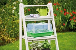 Gewächshaus M | Zimmergewächshaus Von Romberg -Compo Verkäufe 535231 Gewaechshaus M 10094102 1