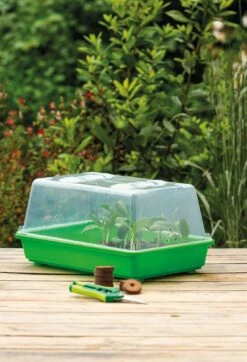 Gewächshaus M | Zimmergewächshaus Von Romberg -Compo Verkäufe 535231 Gewaechshaus M 10094102 2