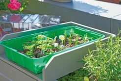 Anzuchthaus M PLUS | Mini-Gewächshaus Von Romberg -Compo Verkäufe 535236 Anzuchthaus M PLUS 10094202 2