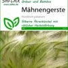 Mähnengerste | Gräsersamen Von Saflax -Compo Verkäufe 535602 Maehnengerste 13311 sa 0