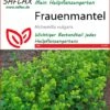 Frauenmantel | Heilpflanzensamen Von Saflax 2 Frauenmantel | Heilpflanzensamen Von Saflax -Compo Verkäufe 535653 Frauenmantel 15205 sa 0
