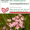 Tausendgüldenkraut | Heilpflanzensamen Von Saflax 2 Tausendgüldenkraut | Heilpflanzensamen Von Saflax -Compo Verkäufe 535660 Tausendgueldenkraut 15212 sa 0