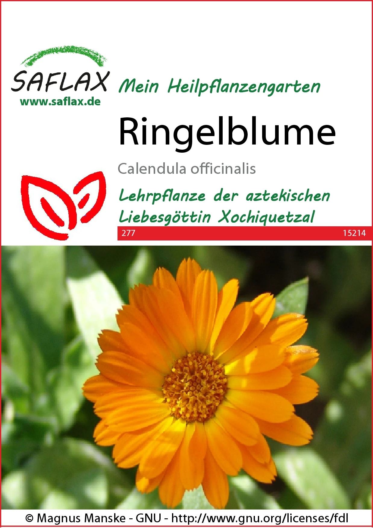 Ringelblume | Ringelblumensamen Von Saflax 3 Ringelblume | Ringelblumensamen Von Saflax