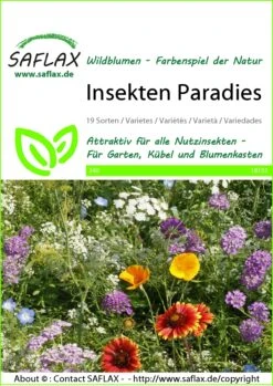 Blumenwiese Insekten Paradies | Insektenwiese Von Saflax