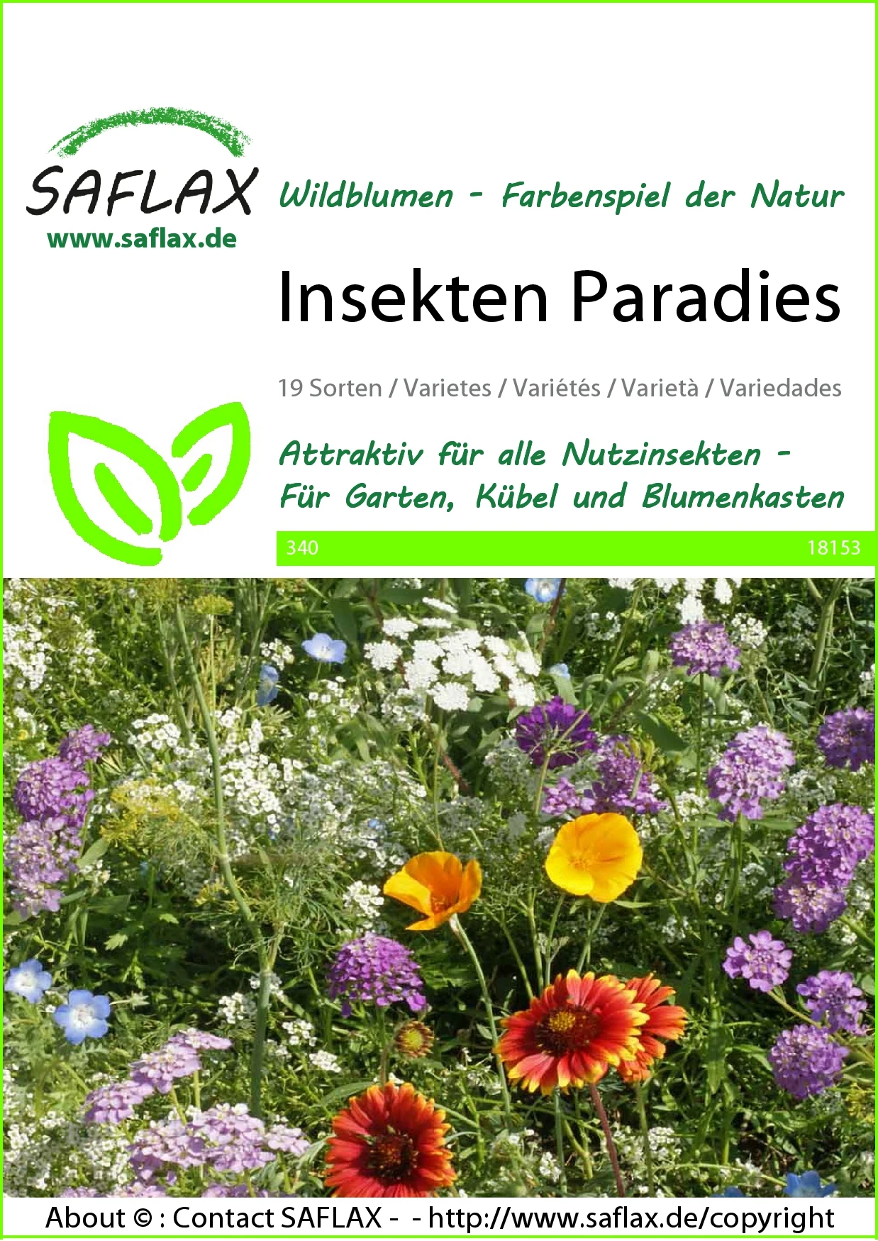 Blumenwiese Insekten Paradies | Insektenwiese Von Saflax 3 Blumenwiese Insekten Paradies | Insektenwiese Von Saflax