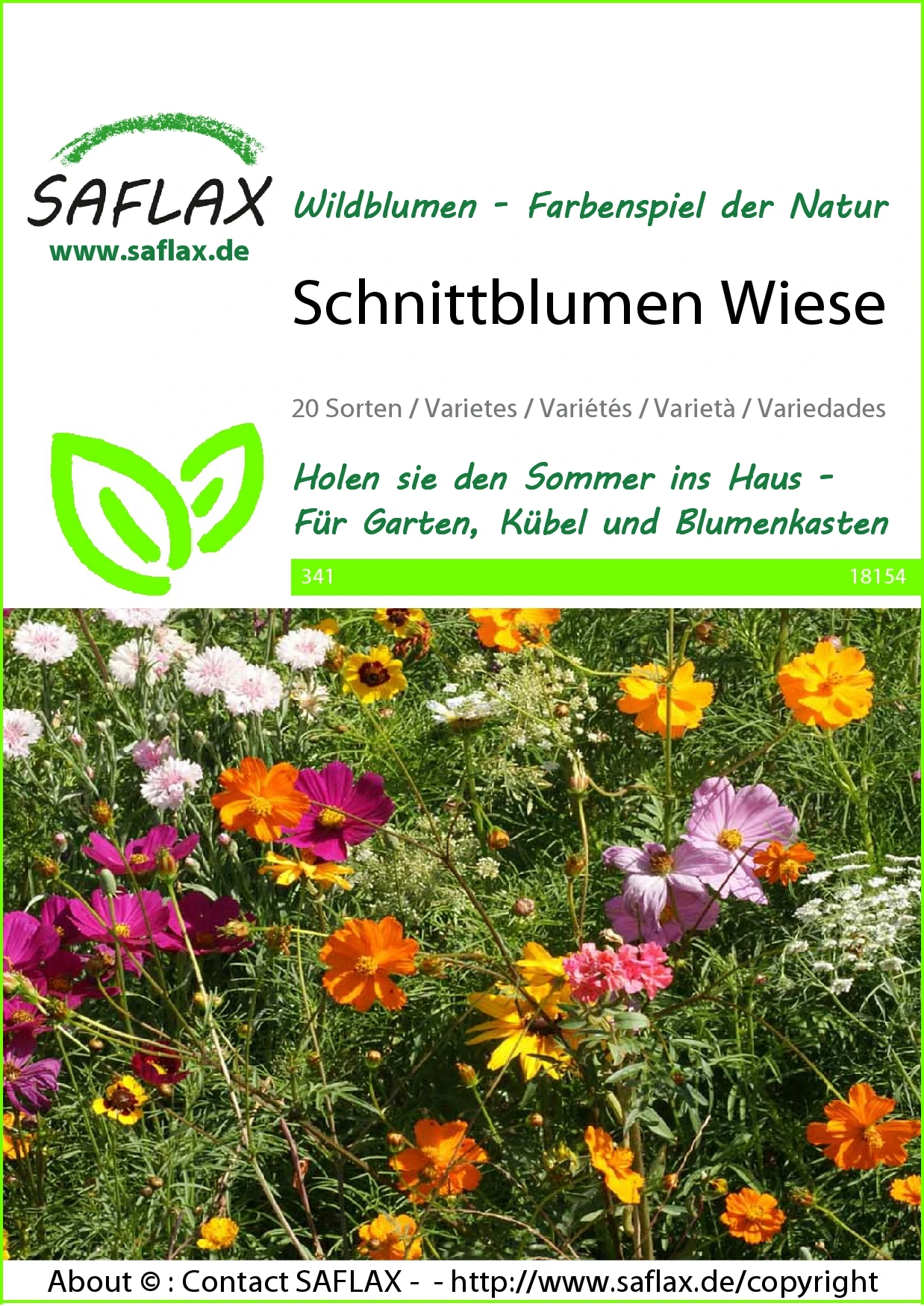 Schnittblumen Wiese | Wildblumenwiese Von Saflax 4 Schnittblumen Wiese | Wildblumenwiese Von Saflax – Bild 2
