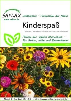 Blumenwiese Kinderspaß | Wildblumenwiese Von Saflax 5 Blumenwiese Kinderspaß | Wildblumenwiese Von Saflax -Compo Verkäufe 535697 Blumenwiese Kinderspass 18155 sa 0