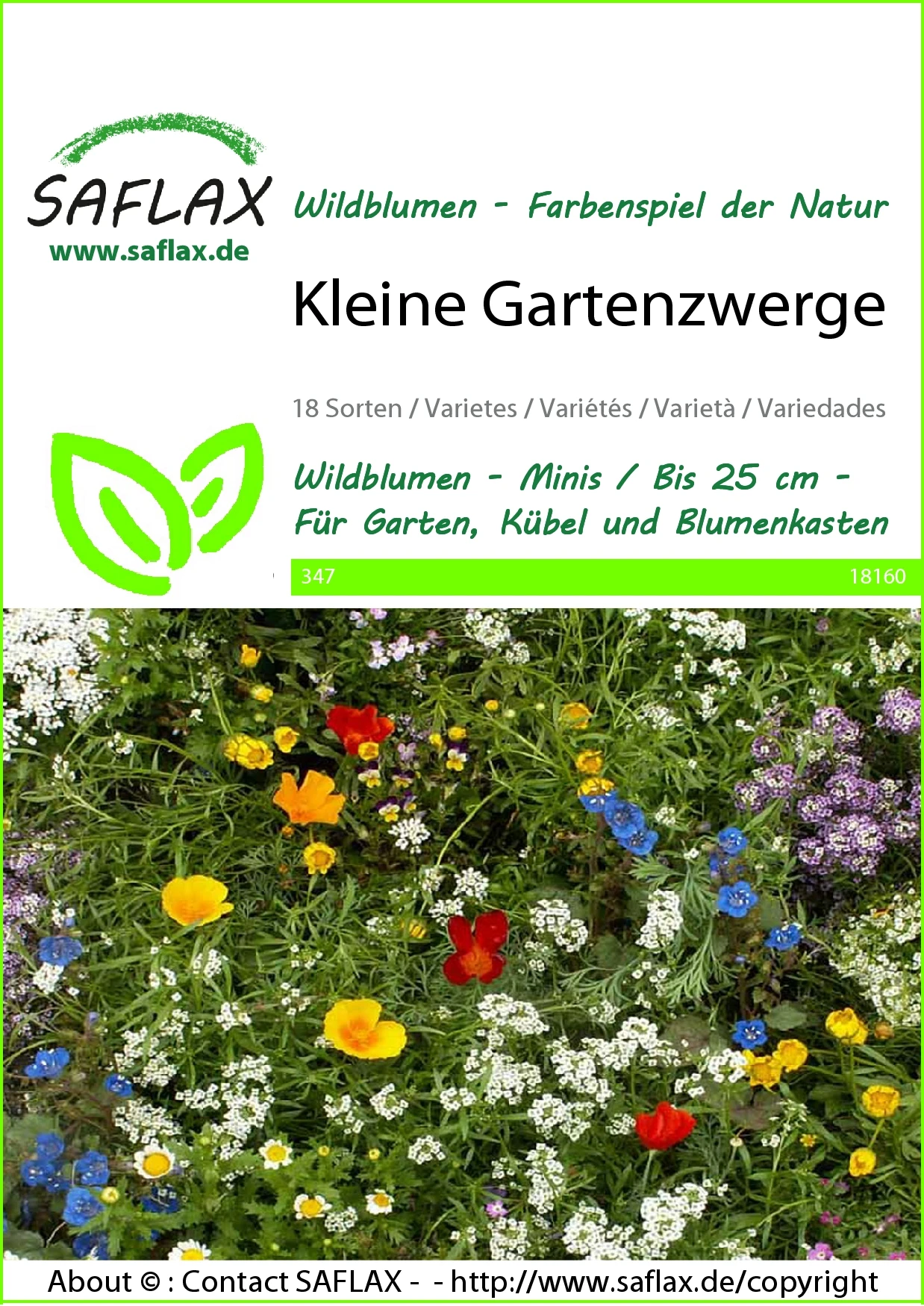 Blumenwiese Kleine Gartenzwerge | Wildblumenwiese Von Saflax 4 Blumenwiese Kleine Gartenzwerge | Wildblumenwiese Von Saflax – Bild 2