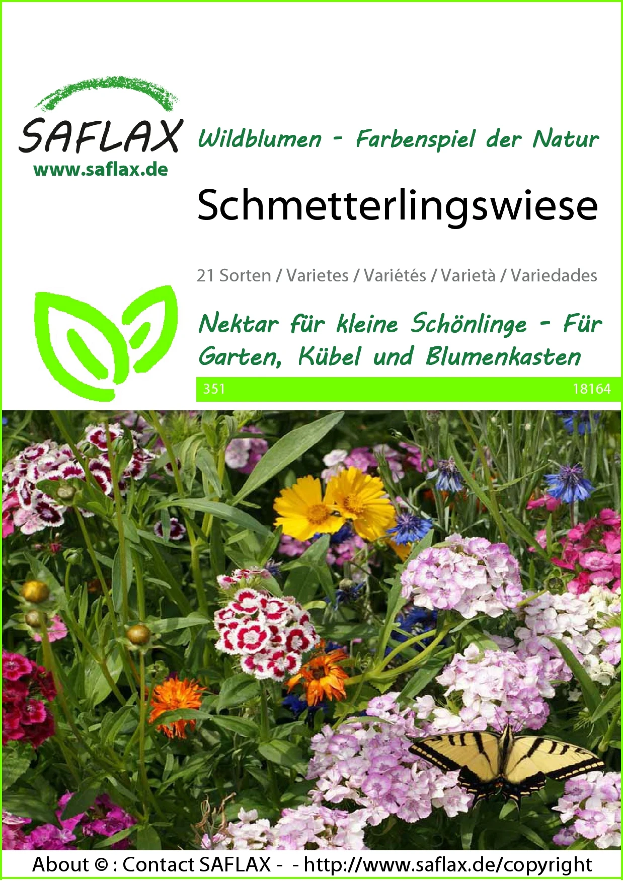 Blumenwiese Schmetterlingswiese | Schmetterlingswiese Von Saflax 3 Blumenwiese Schmetterlingswiese | Schmetterlingswiese Von Saflax