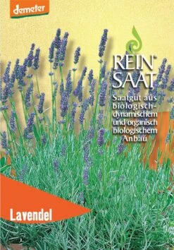 Lavendel | BIO Lavendelsamen Von Reinsaat